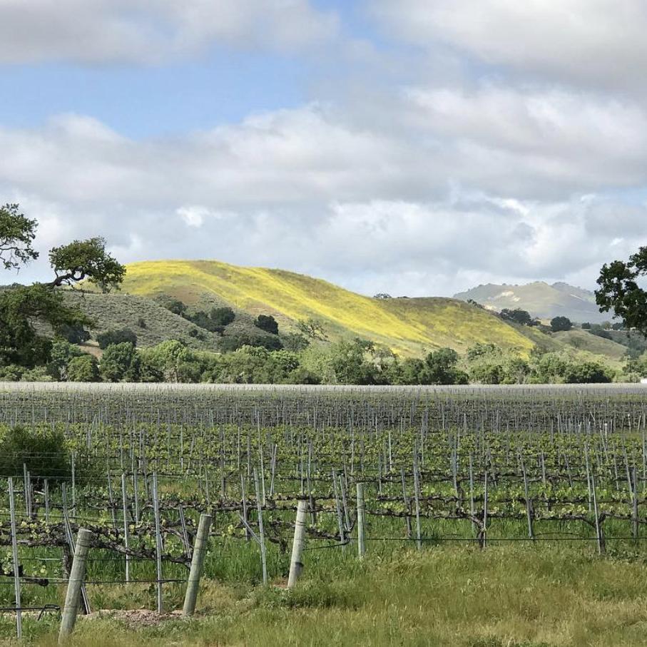 Koehler Winery