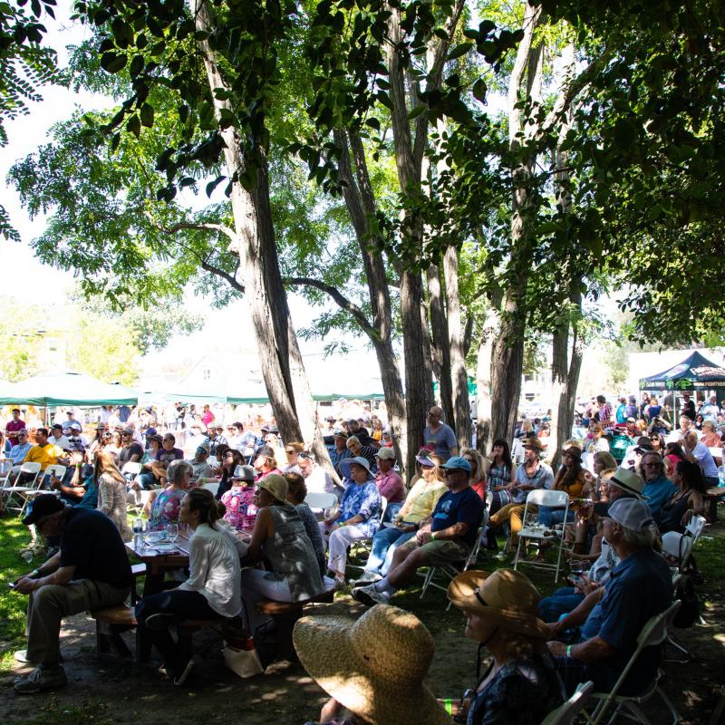2023 Los Olivos Jazz & Olive Festival