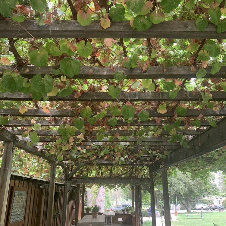 Rancho Sisquoc