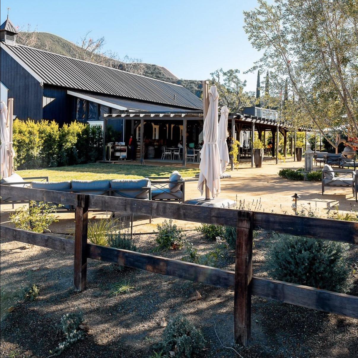 Vega Vineyard and Farm