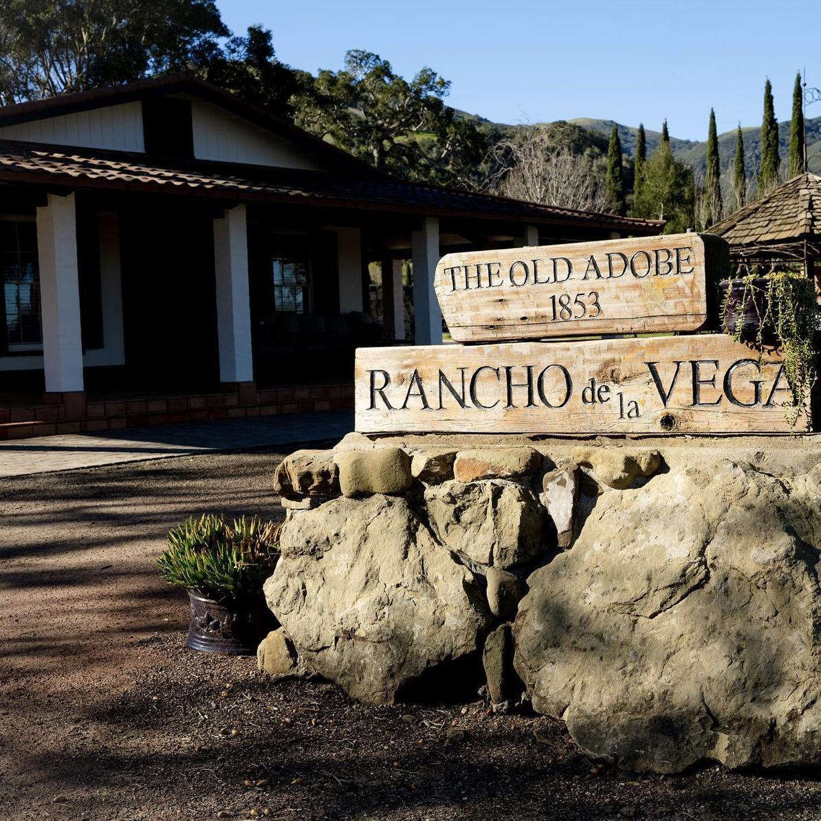Vega Vineyard and Farm