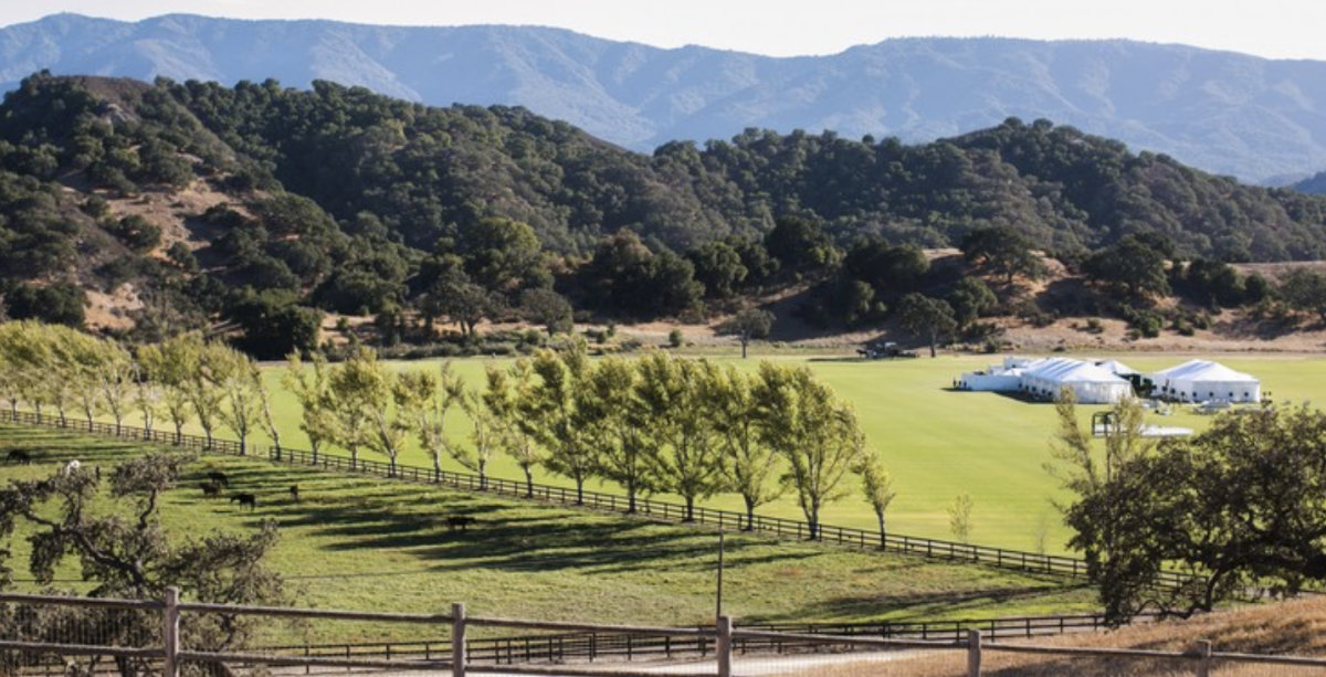 Happy Canyon Vineyard